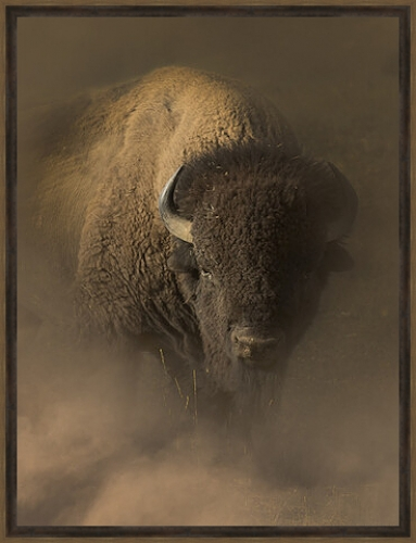 TAC Out of the Dust  (Buffalo)