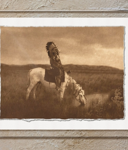TAC An Oasis in the Badlands 1907