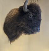 BIG BEAR Buffalo Mount
