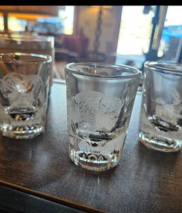 Pioneer Laser Engraved SHOT Glass