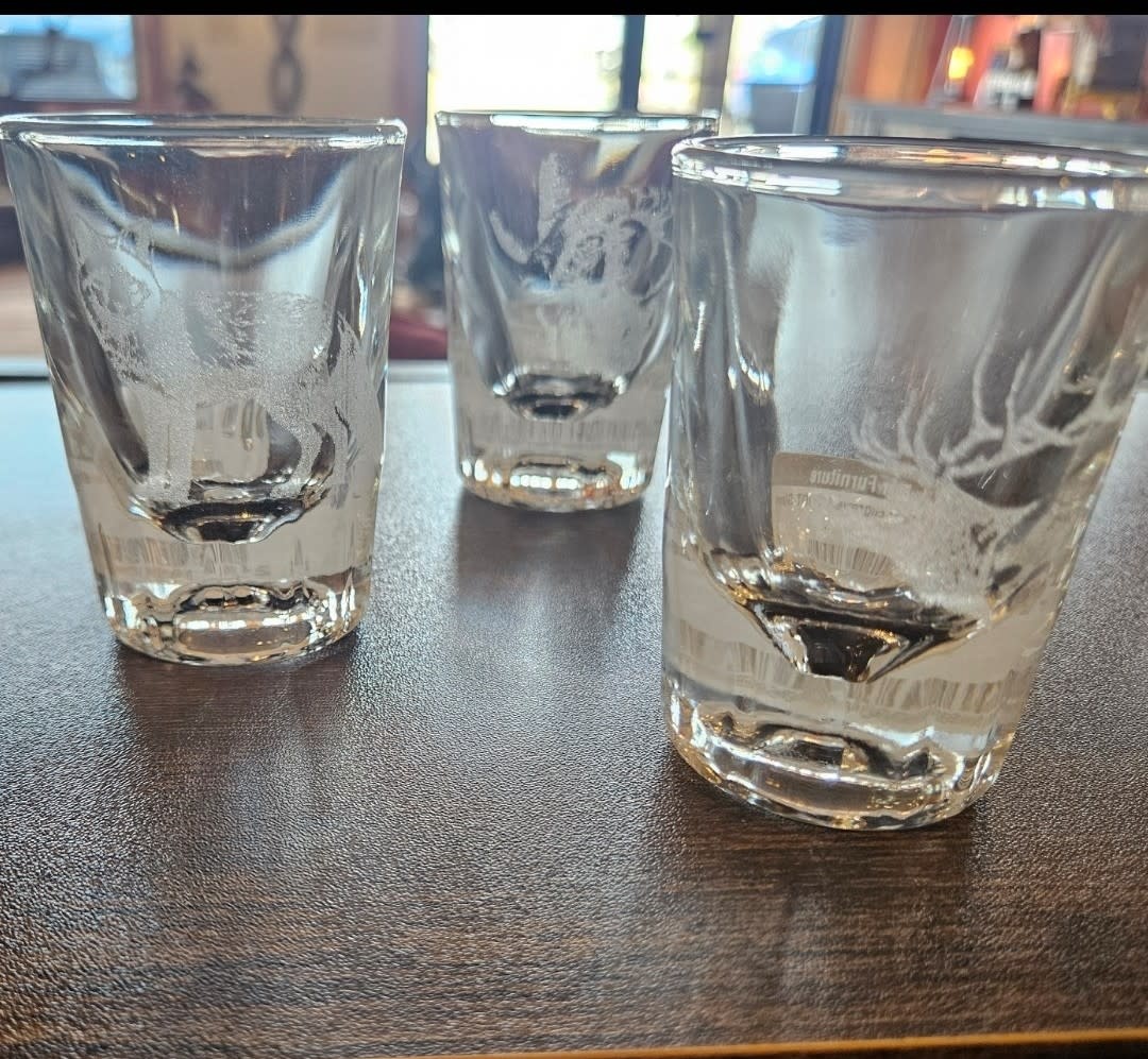 Pioneer Laser Engraved SHOT Glass