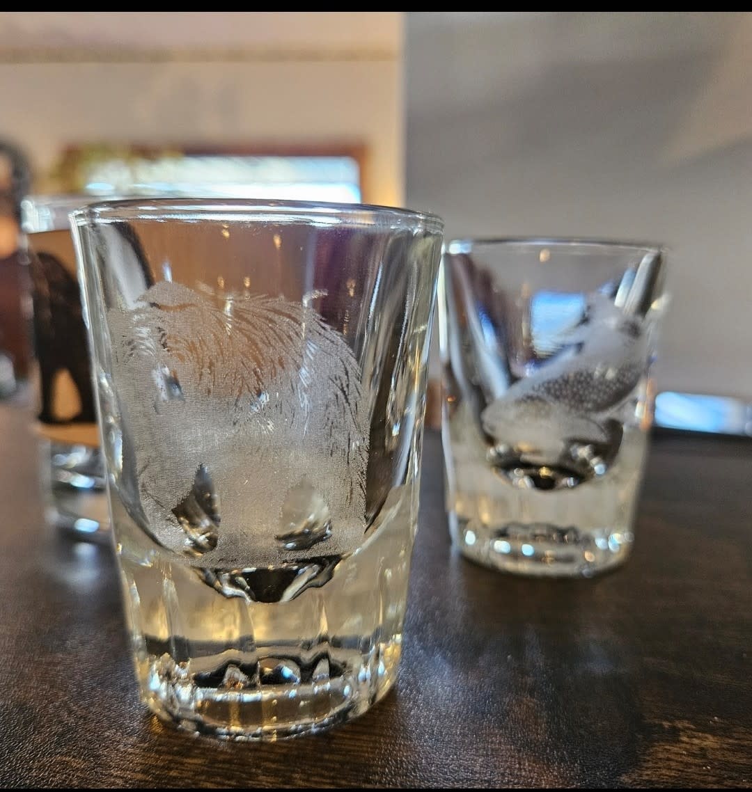 Pioneer Laser Engraved SHOT Glass