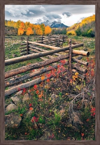 TAC Log Fence  25x37.25