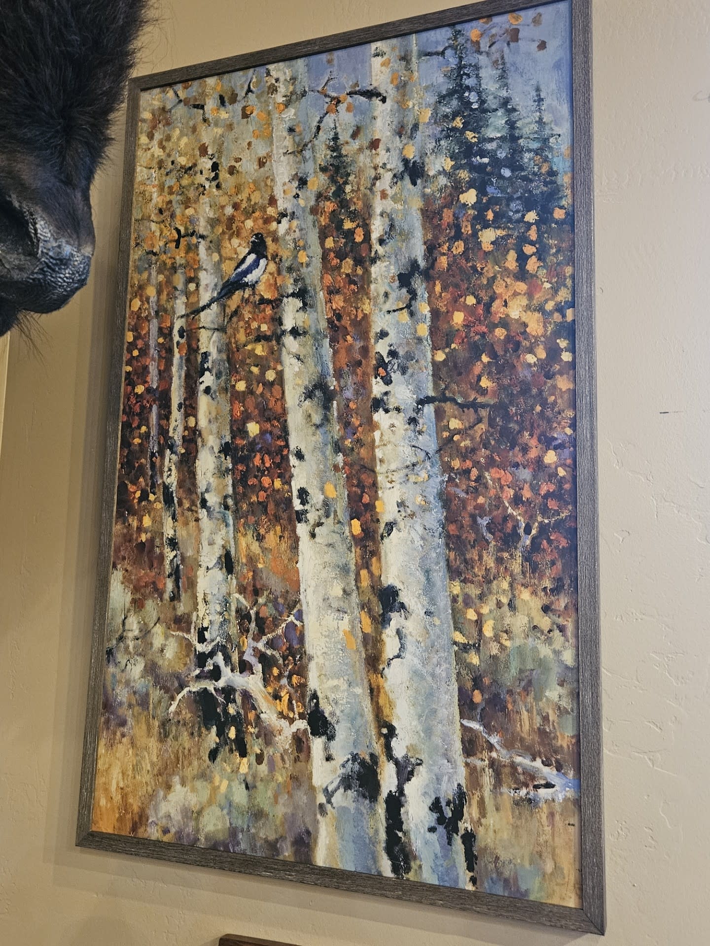 TAC Bitteroot Valley III