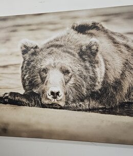 Rocky Mountain Pub Morning Nap (Bear) 36x54 Wrap