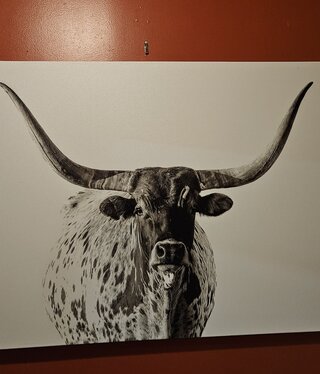 Rocky Mountain Pub Lefty (Texas Longhorn) 36x54 Wrap
