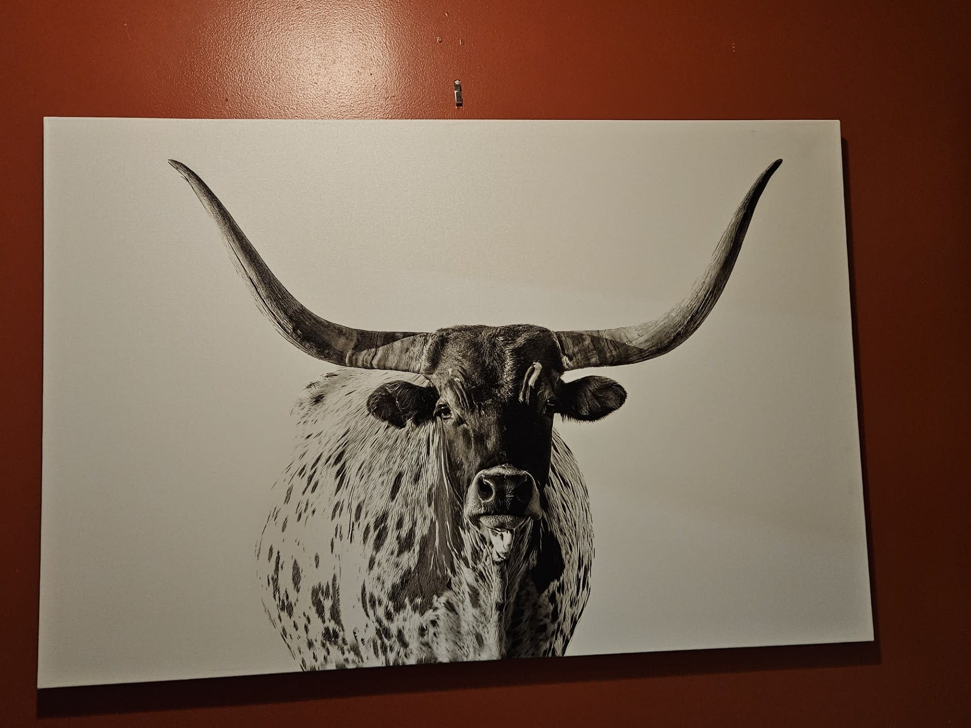 Rocky Mountain Pub Lefty (Texas Longhorn) 36x54 Wrap
