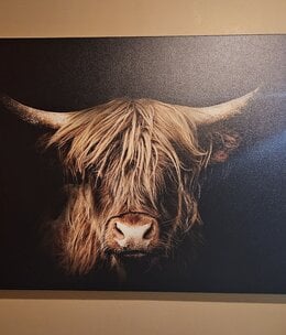 Rocky Mountain Pub Out of the Dark ( Highland Cow) 36x54 Wrap