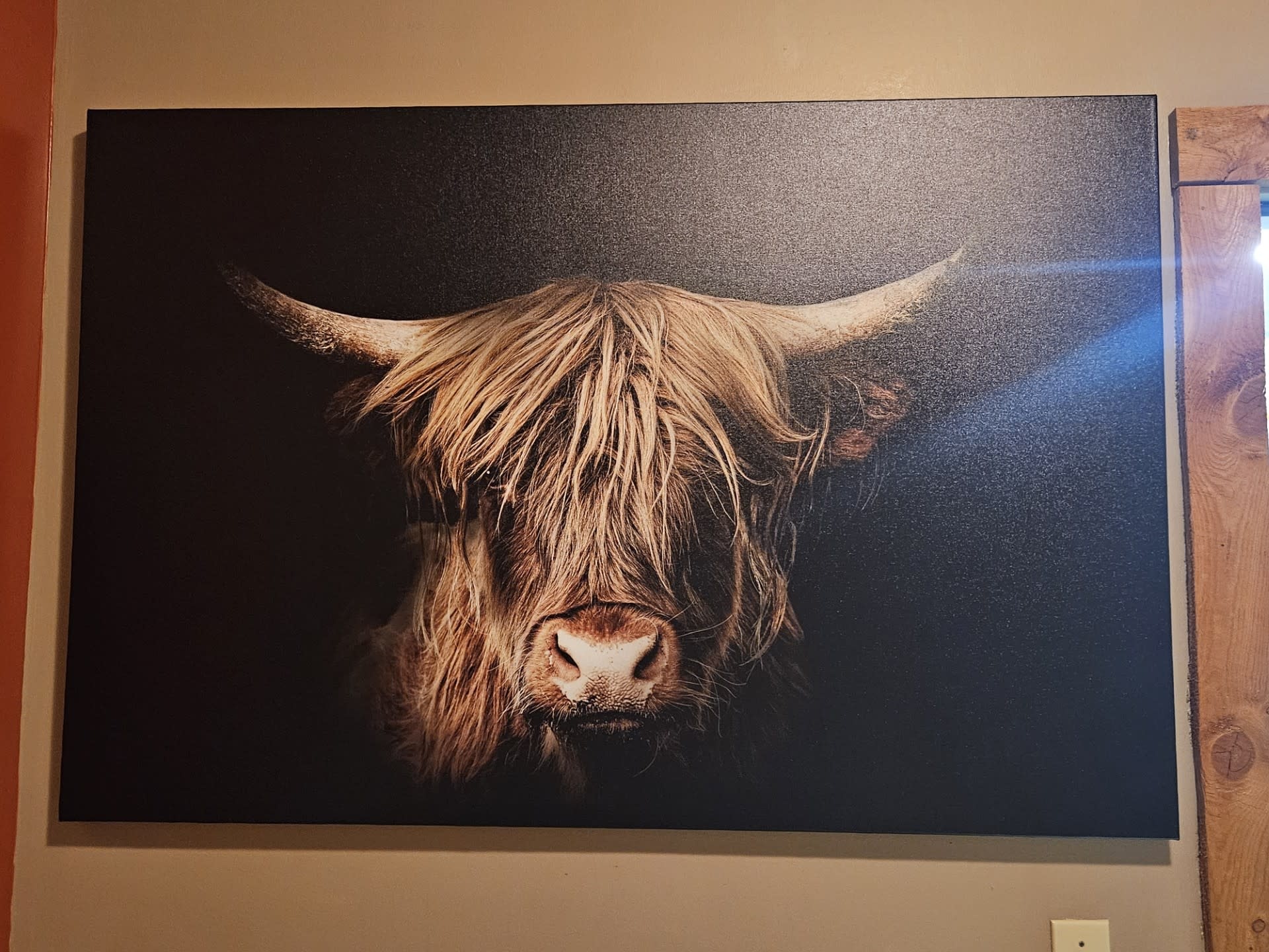 Rocky Mountain Pub Out of the Dark ( Highland Cow) 36x54 Wrap