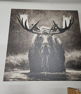 Rocky Mountain Pub Blackwater Bull (Moose) 36x36 Wrap
