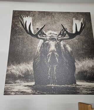 Rocky Mountain Pub Blackwater Bull (Moose) 36x36 Wrap