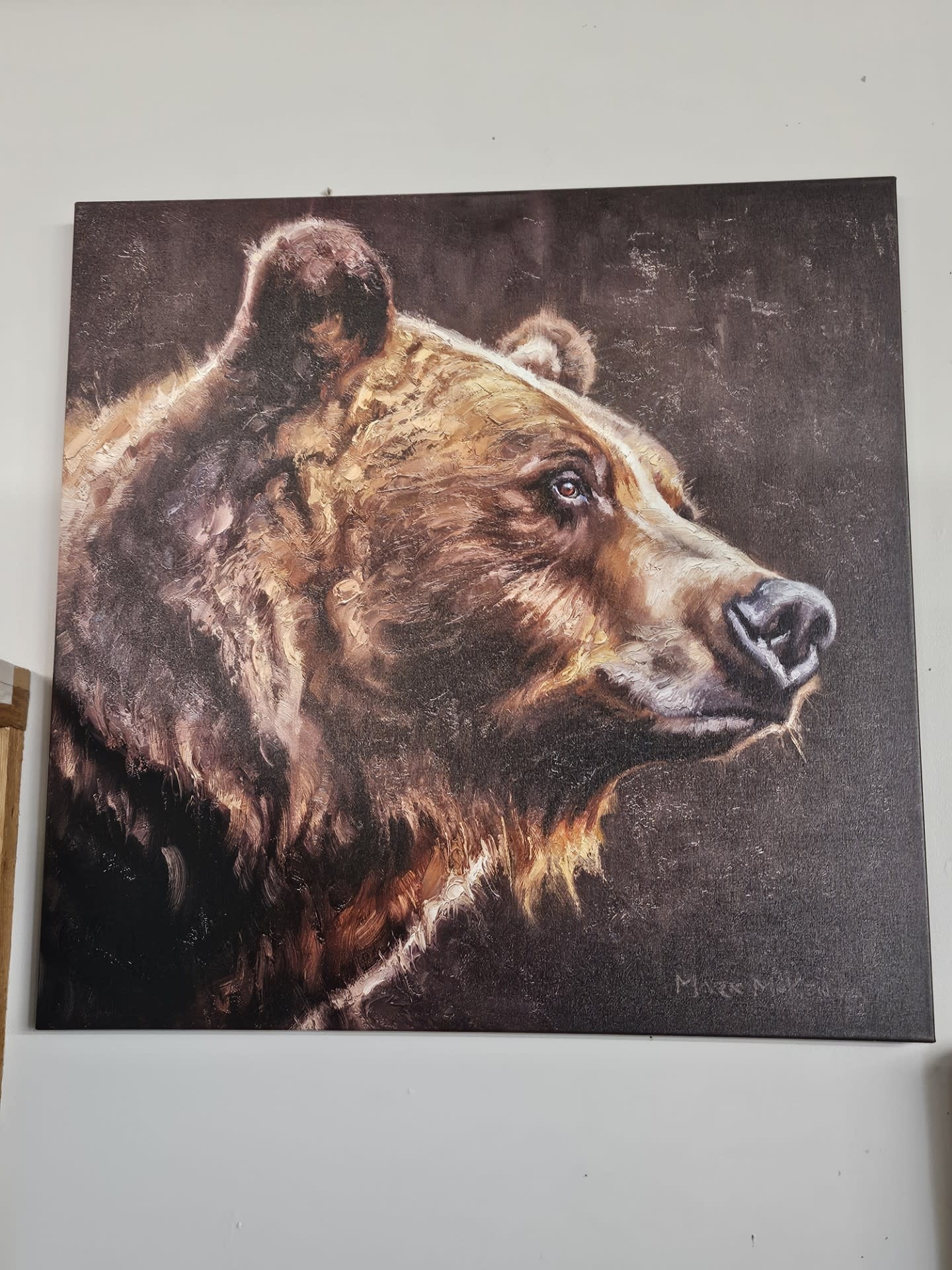 Rocky Mountain Pub On the Bright Side (Bear)  36x36 Wrap