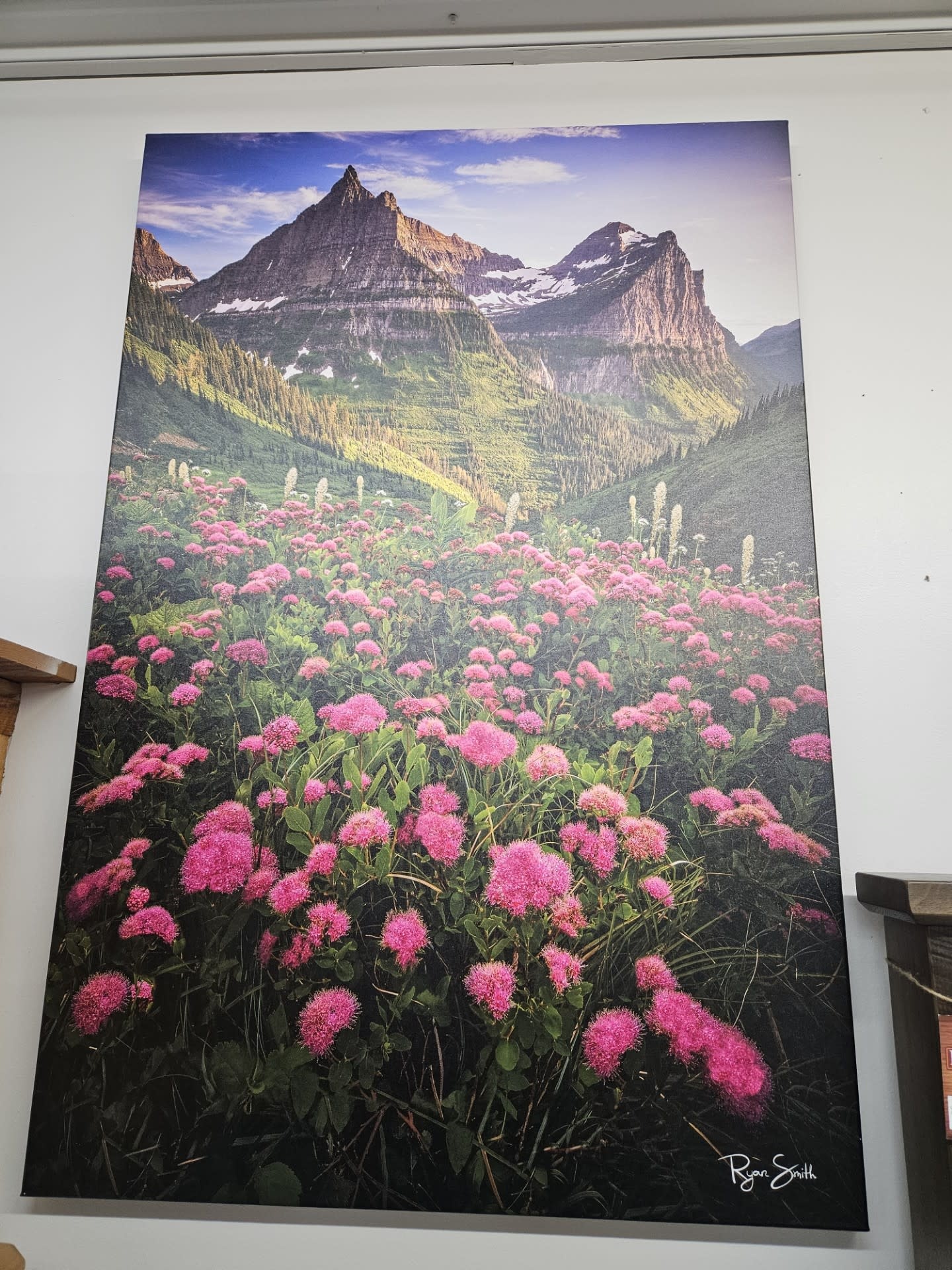 Rocky Mountain Pub Bombshell (Pink flowers/mtns) 36x54 Wrap
