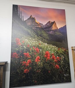 Rocky Mountain Pub Glacier Paintbrush (Mtn Flowers) 40x50 Wrap