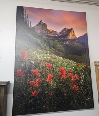 Rocky Mountain Pub Glacier Paintbrush (Mtn Flowers) 40x50 Wrap
