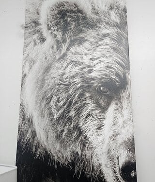 Rocky Mountain Pub Soulful (Bear) 20x40 Wrap