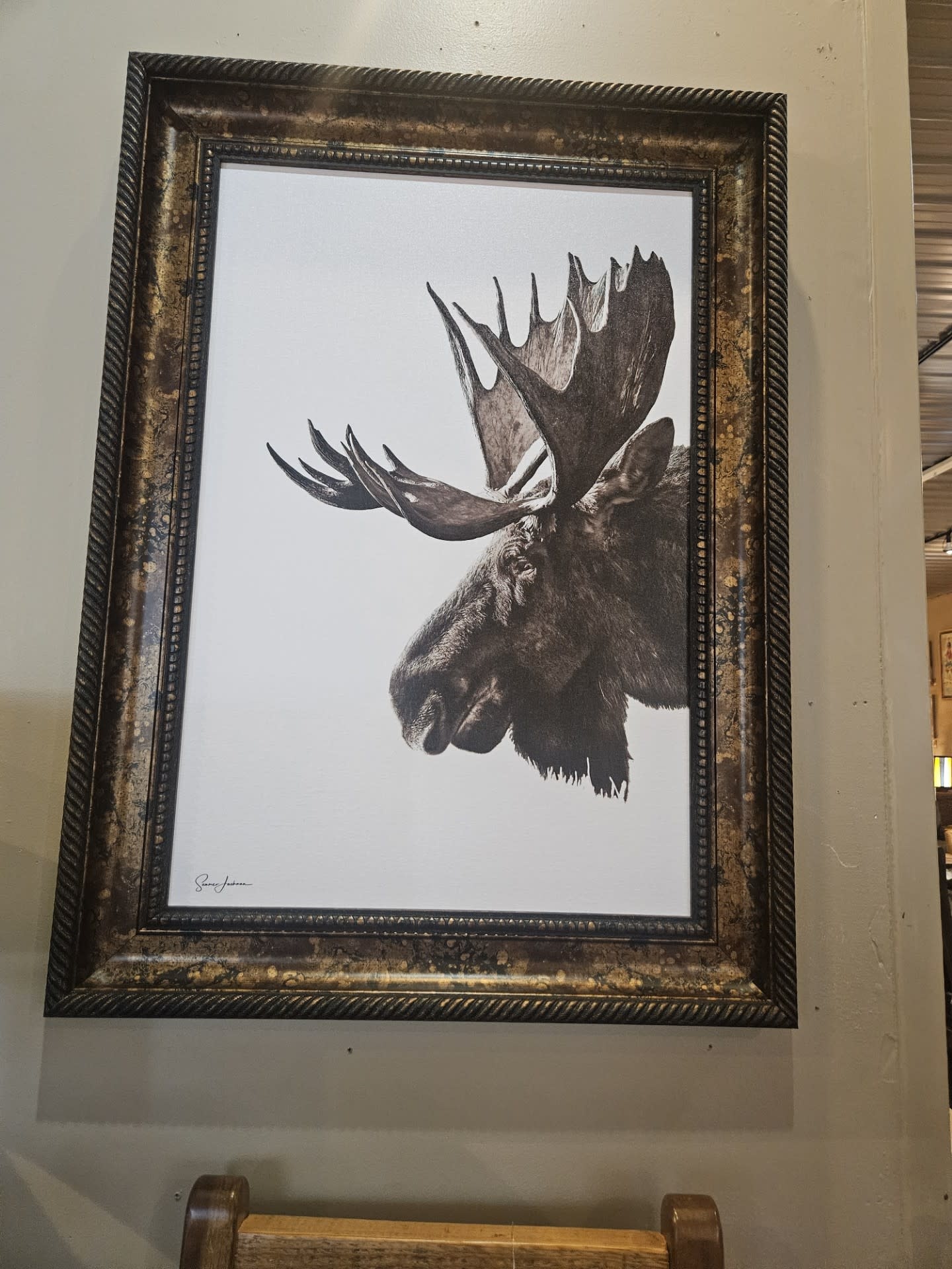 Rocky Mountain Pub Portrait of a King (Moose) 20x30
