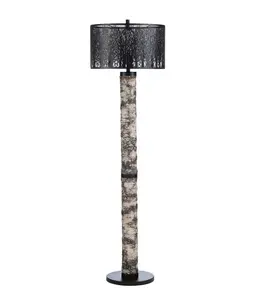 Crestview Morris Floor Lamp, 69H
