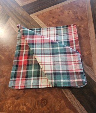Park Design Winter Spice Napkin