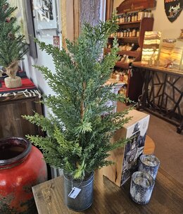 Melrose Mini Tree in Pot 22"H