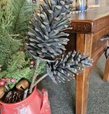 Melrose Pinecone Plastic Spray 28H