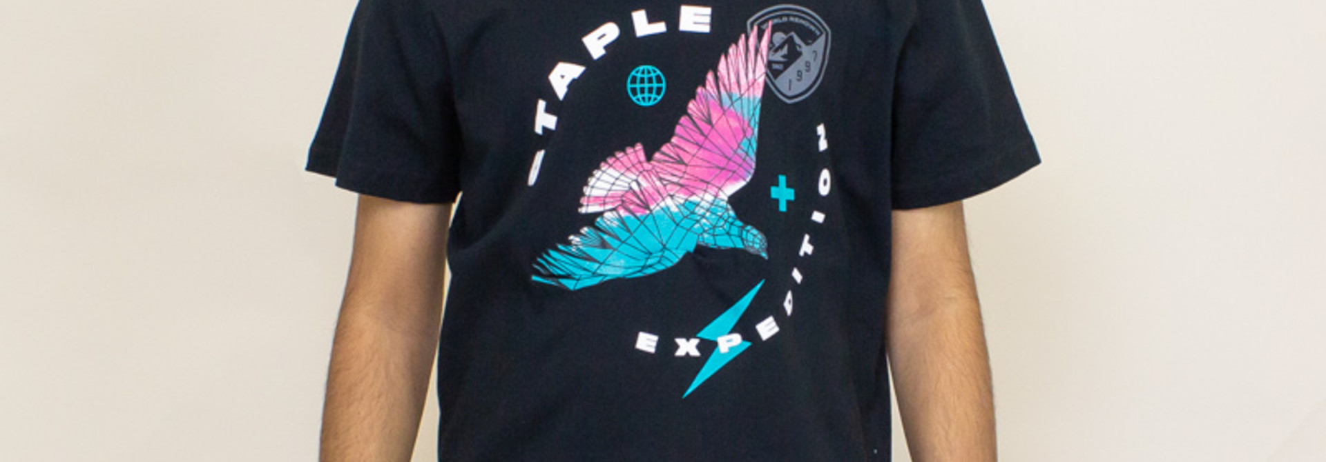 Staple Pigeon Watercolor Tee - Black