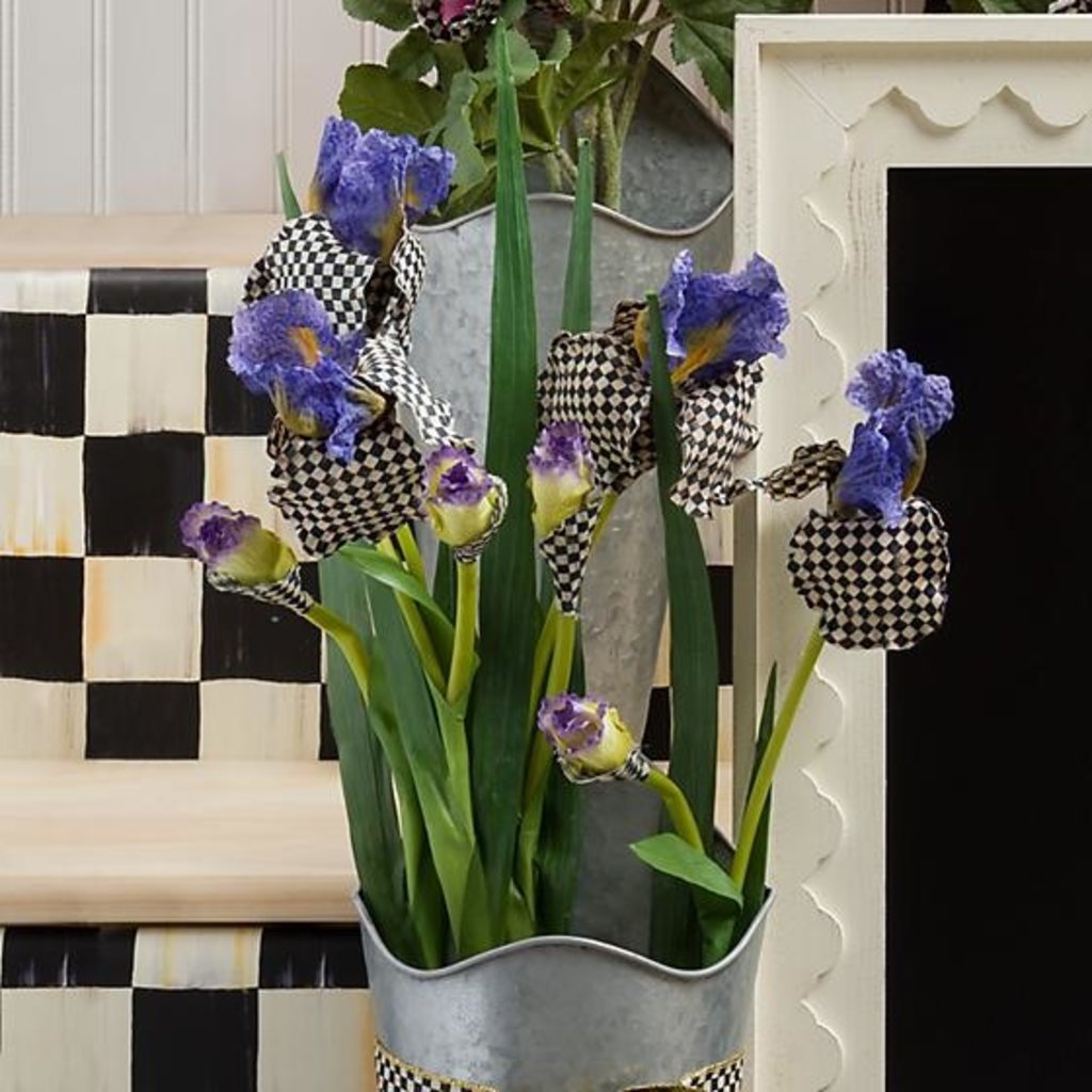 MacKenzie-Childs Courtly Check Iris - Purple