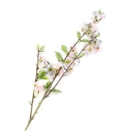 MacKenzie-Childs Courtly Check Cherry Blossom Spray - White