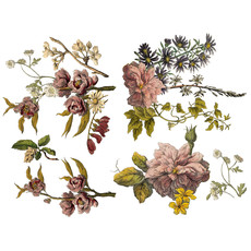 Floral Anthology Transfer