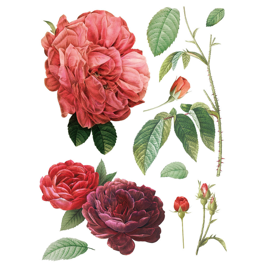Iron Orchid Designs Redoute II Transfer