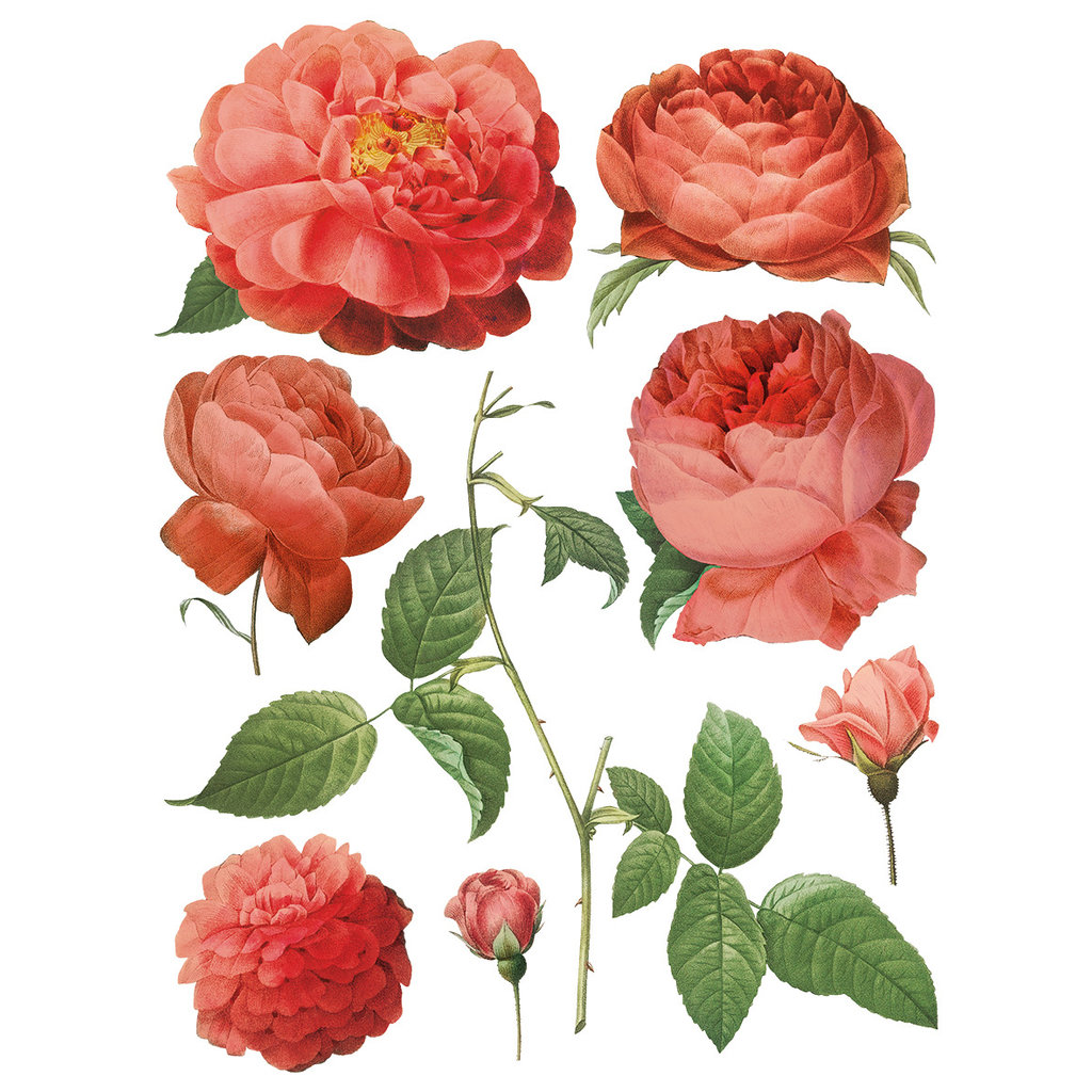 Iron Orchid Designs Redoute II Transfer