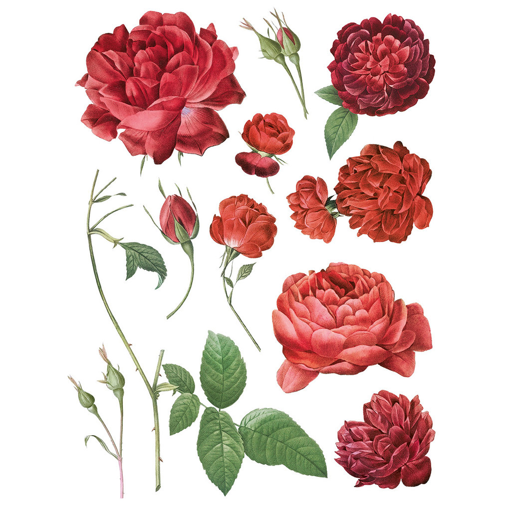 Iron Orchid Designs Redoute II Transfer