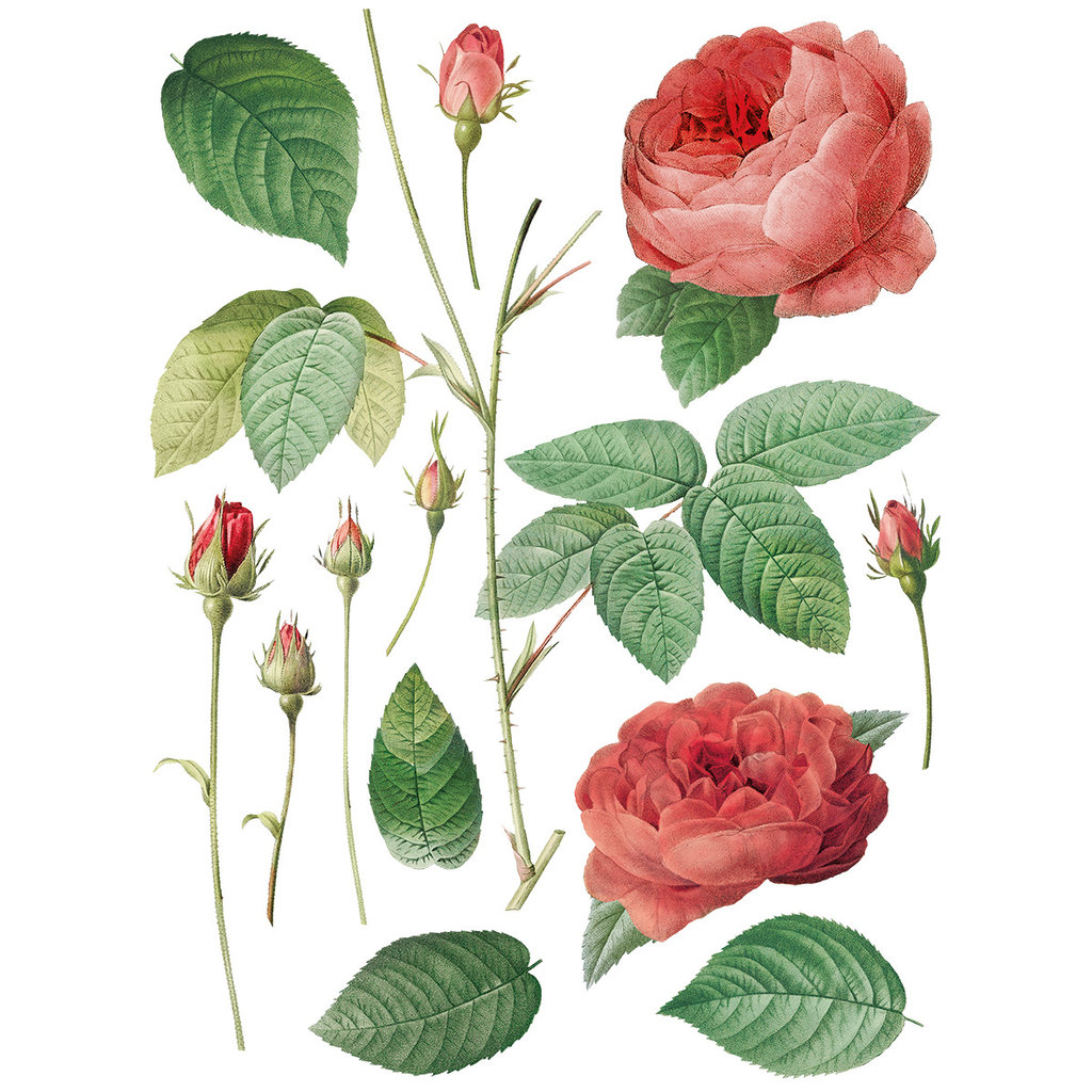 Iron Orchid Designs Redoute II Transfer