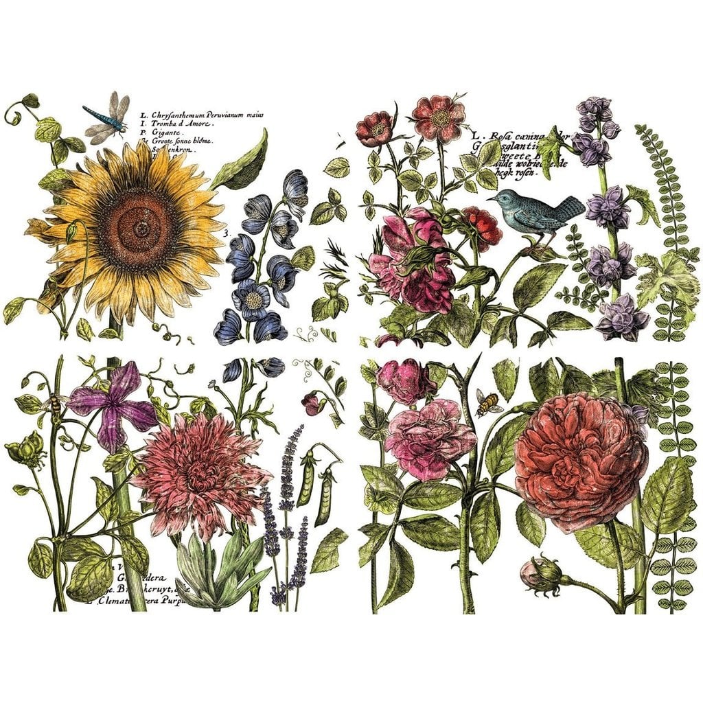 Iron Orchid Designs Botanist Journal 12" x 16" Transfer Set