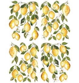 Iron Orchid Designs Lemon Drops 12' x 16" Transfer Set