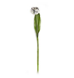 MacKenzie-Childs Parrot Tulip - Ivory