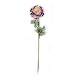 MacKenzie-Childs Ranunculus Stem - Purple