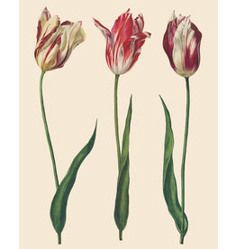 Dutch Tulips Decoupage Papers