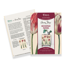 Dutch Tulips Decoupage Papers