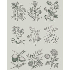 Botanical Drawings Decoupage Paper