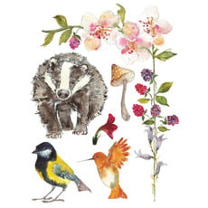 Iron Orchid Designs Whispering Willow IOD Transfer