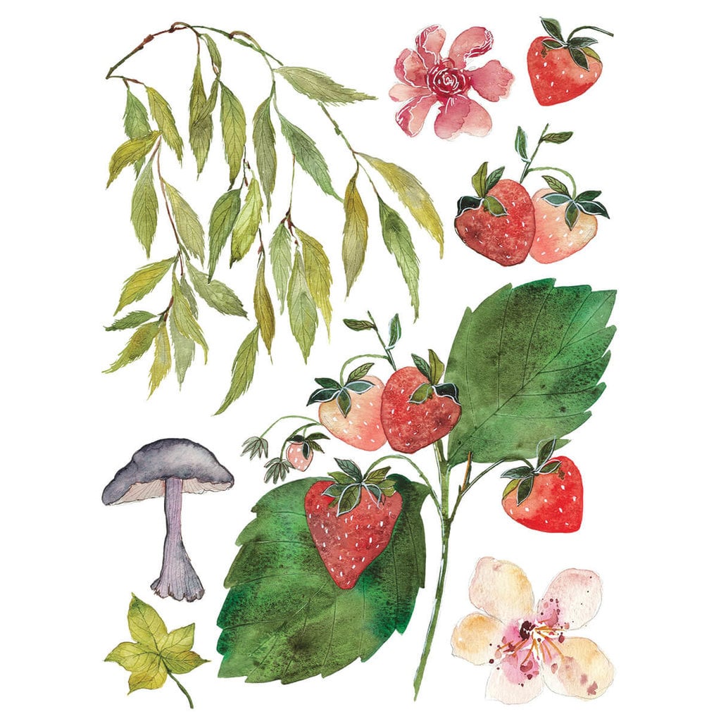 Iron Orchid Designs Whispering Willow IOD Transfer