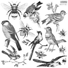 Iron Orchid Designs Birds & Bees Stamp