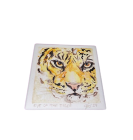 Columbia Coaster - Eye of the Tiger