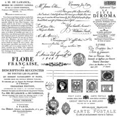 Iron Orchid Designs Ephemeral Type Stamp