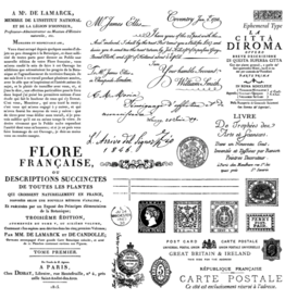 Ephemeral Type Stamp