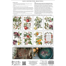 Iron Orchid Designs Clementine Transfer