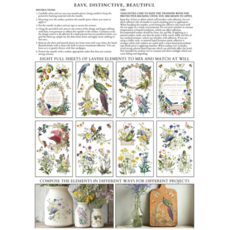 Iron Orchid Designs Flora Greca Transfer