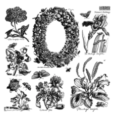 Nature's Etchings Stamp