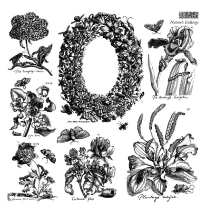 Nature's Etchings Stamp